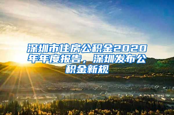 深圳市住房公积金2020年年度报告，深圳发布公积金新规