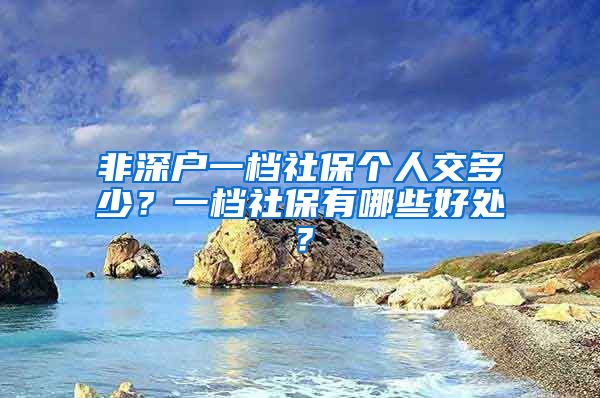 非深户一档社保个人交多少？一档社保有哪些好处？