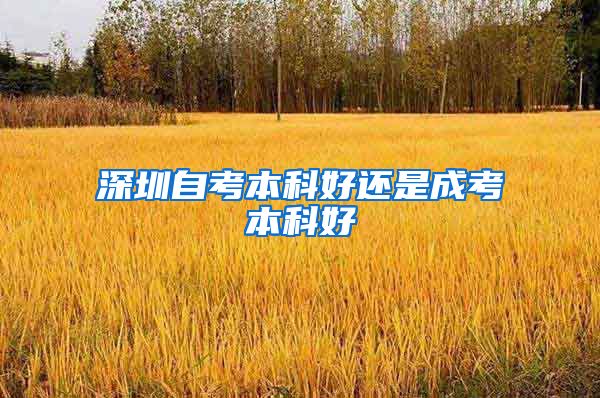 深圳自考本科好还是成考本科好