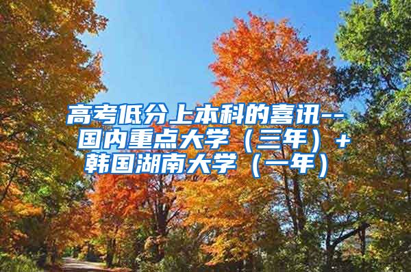 高考低分上本科的喜讯-- 国内重点大学（三年）+韩国湖南大学（一年）