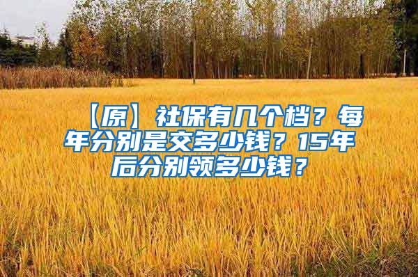 【原】社保有几个档？每年分别是交多少钱？15年后分别领多少钱？