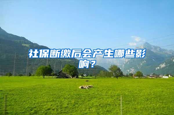 社保断缴后会产生哪些影响？