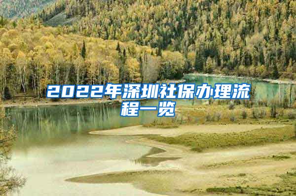 2022年深圳社保办理流程一览