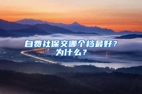 自费社保交哪个档最好？为什么？