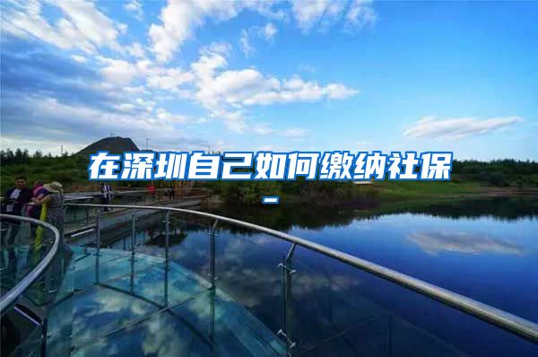 在深圳自己如何缴纳社保-