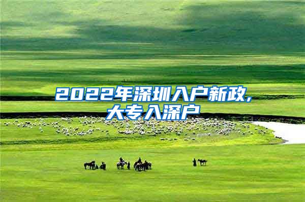 2022年深圳入户新政,大专入深户