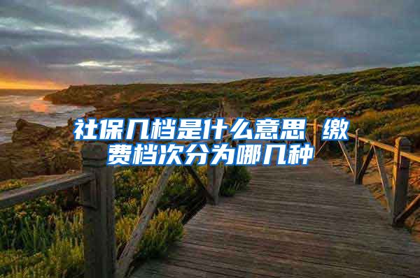 社保几档是什么意思 缴费档次分为哪几种