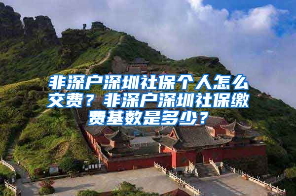 非深户深圳社保个人怎么交费？非深户深圳社保缴费基数是多少？