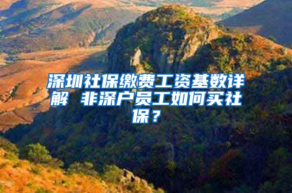 深圳社保缴费工资基数详解 非深户员工如何买社保？