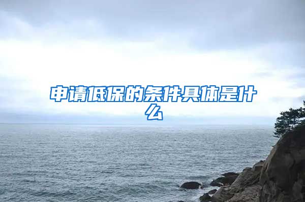 申请低保的条件具体是什么