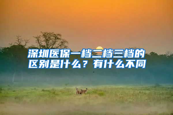 深圳医保一档二档三档的区别是什么？有什么不同