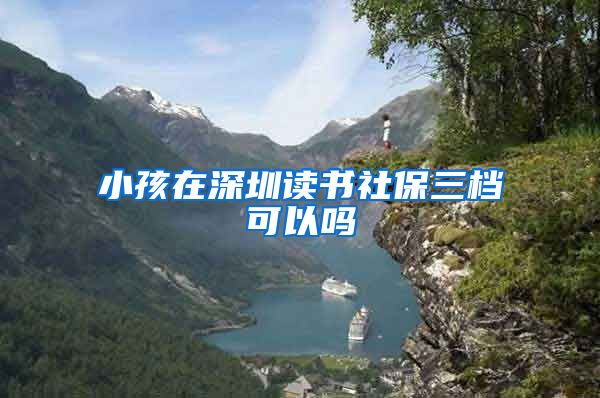 小孩在深圳读书社保三档可以吗