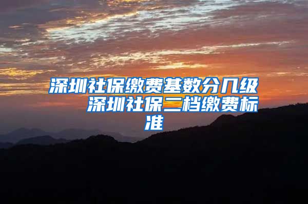 深圳社保缴费基数分几级   深圳社保二档缴费标准