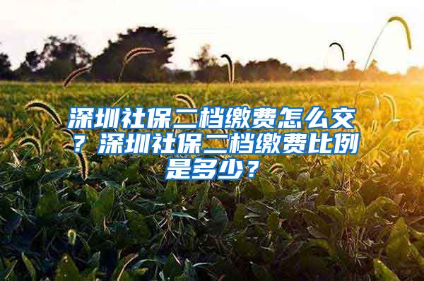 深圳社保二档缴费怎么交？深圳社保二档缴费比例是多少？