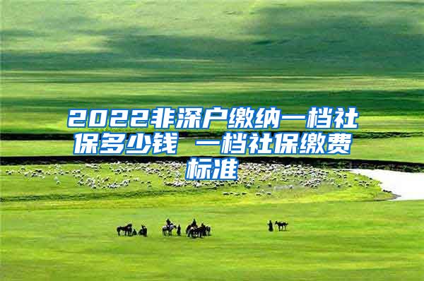 2022非深户缴纳一档社保多少钱 一档社保缴费标准