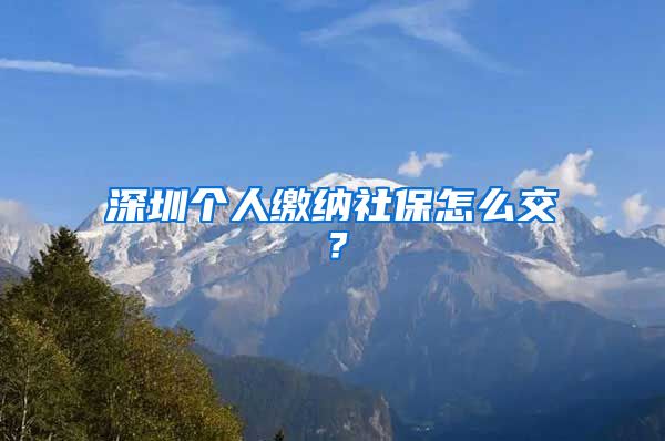 深圳个人缴纳社保怎么交？