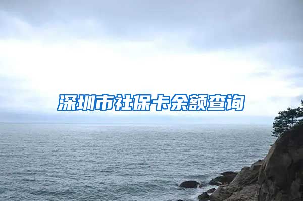 深圳市社保卡余额查询