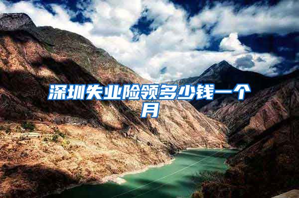 深圳失业险领多少钱一个月