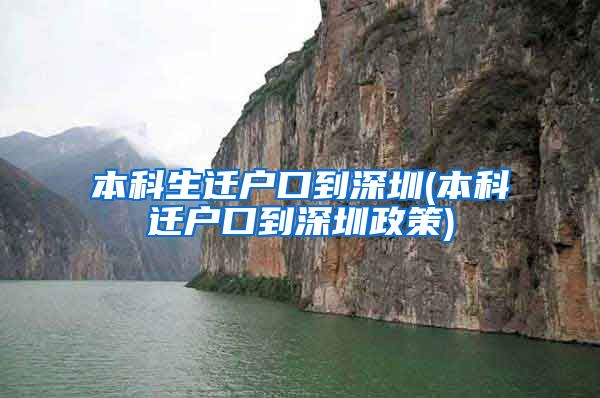 本科生迁户口到深圳(本科迁户口到深圳政策)