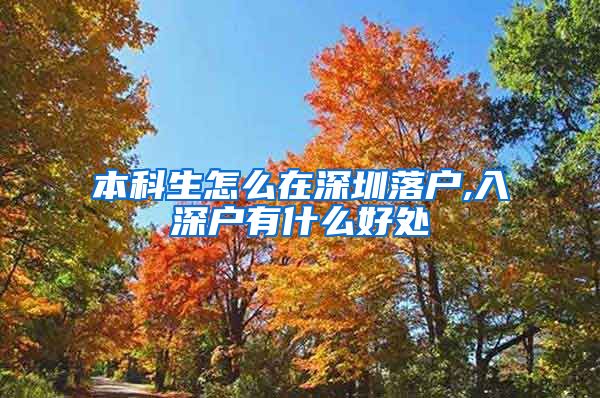 本科生怎么在深圳落户,入深户有什么好处