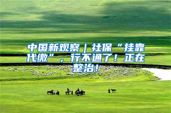 中国新观察｜社保“挂靠代缴”，行不通了！正在整治！