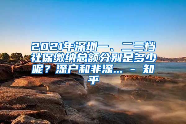 2021年深圳一、二三档社保缴纳总额分别是多少呢？深户和非深... - 知乎