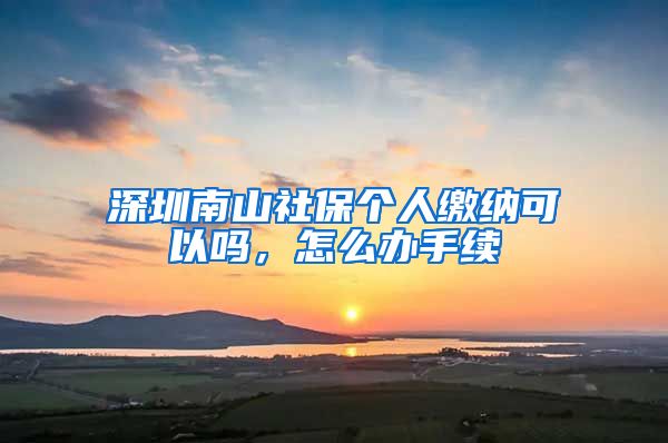 深圳南山社保个人缴纳可以吗，怎么办手续