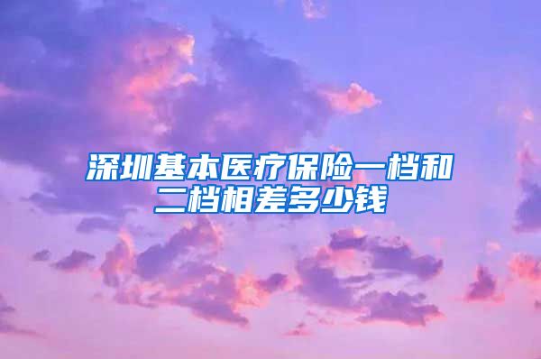 深圳基本医疗保险一档和二档相差多少钱