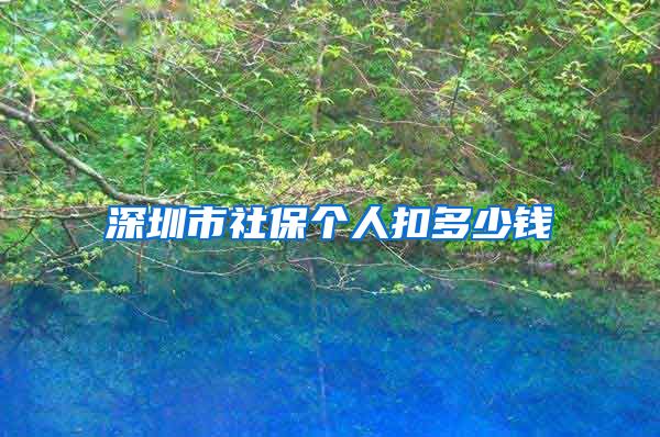 深圳市社保个人扣多少钱