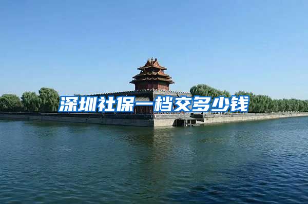 深圳社保一档交多少钱