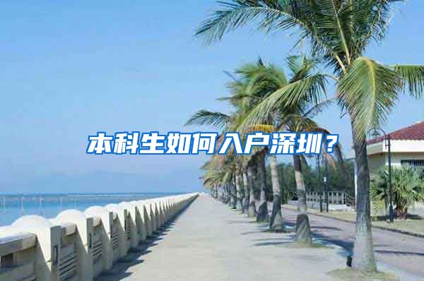 本科生如何入户深圳？