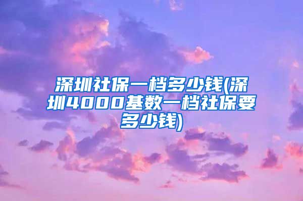 深圳社保一档多少钱(深圳4000基数一档社保要多少钱)