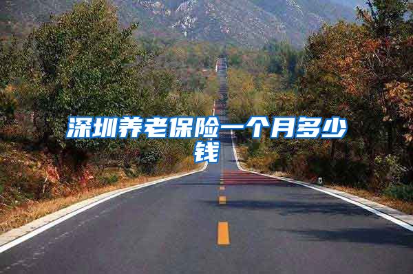 深圳养老保险一个月多少钱