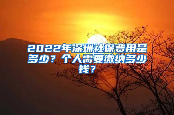 2022年深圳社保费用是多少？个人需要缴纳多少钱？