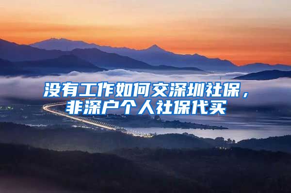 没有工作如何交深圳社保，非深户个人社保代买
