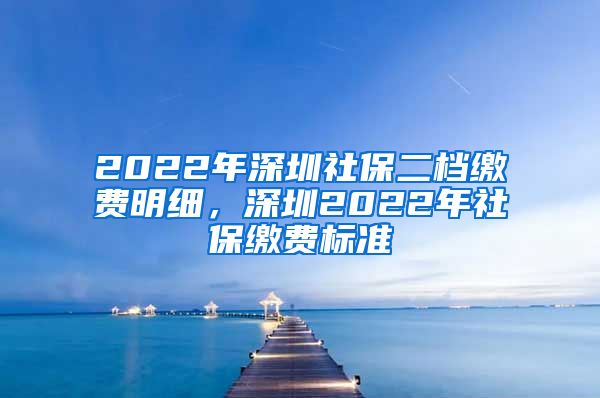 2022年深圳社保二档缴费明细，深圳2022年社保缴费标准