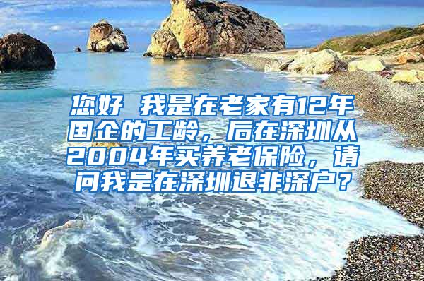 您好 我是在老家有12年国企的工龄，后在深圳从2004年买养老保险，请问我是在深圳退非深户？