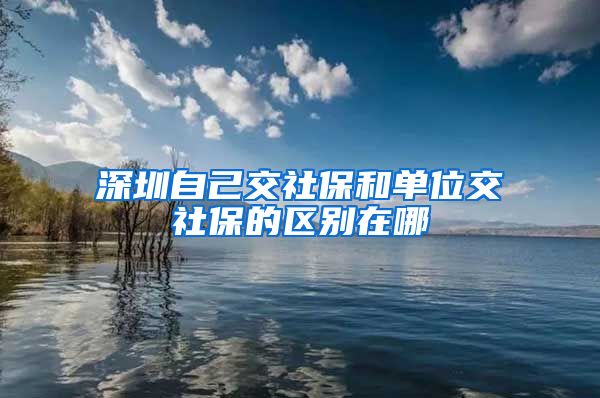 深圳自己交社保和单位交社保的区别在哪