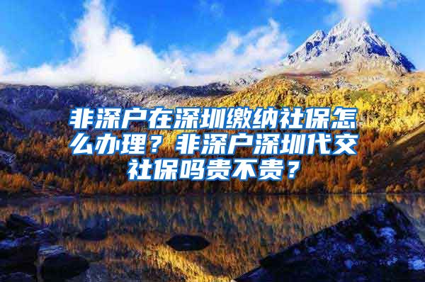 非深户在深圳缴纳社保怎么办理？非深户深圳代交社保吗贵不贵？