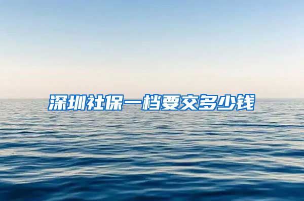 深圳社保一档要交多少钱