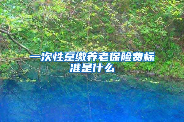 一次性趸缴养老保险费标准是什么