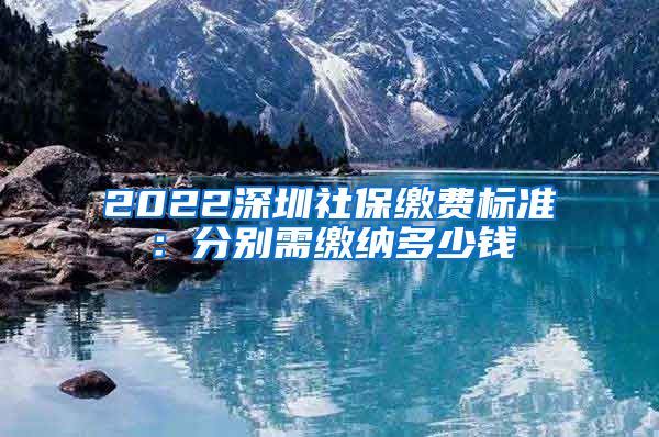 2022深圳社保缴费标准：分别需缴纳多少钱