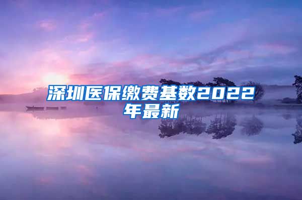 深圳医保缴费基数2022年最新