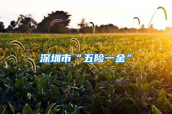深圳市“五险一金”