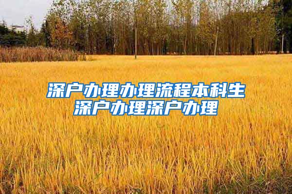 深户办理办理流程本科生深户办理深户办理