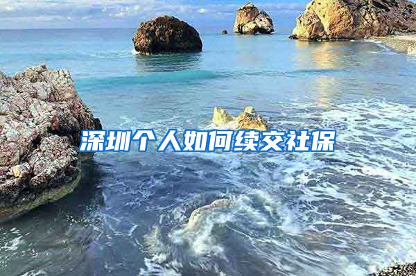 深圳个人如何续交社保