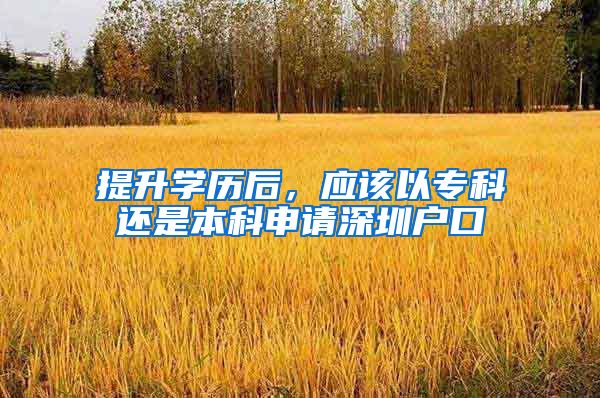 提升学历后，应该以专科还是本科申请深圳户口