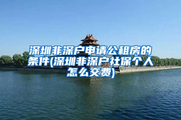深圳非深户申请公租房的条件(深圳非深户社保个人怎么交费)