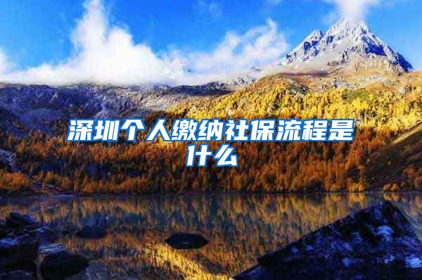 深圳个人缴纳社保流程是什么