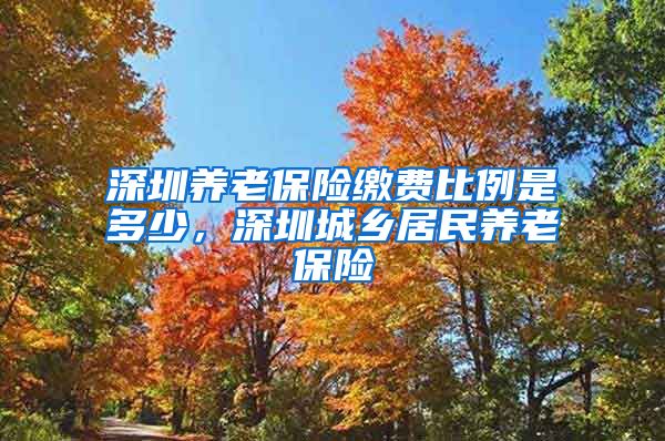 深圳养老保险缴费比例是多少，深圳城乡居民养老保险